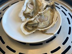 吉拉多生蚝-港畔赶海蒸汽海鲜烧烤自助(仙螺岛店)