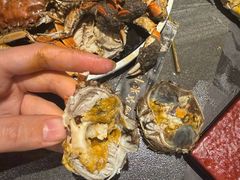 -牛YO寿喜烧和牛火锅自助(三台子万象汇店)