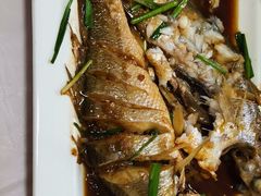 -宾朋海鲜美食特色餐厅·纯手工鲅鱼水饺(兴海路店)