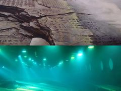 -白鹤梁水下博物馆