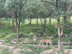 -杭州野生动物世界