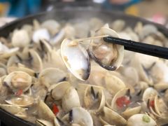 -顺德哥卜卜贝(旗舰店)