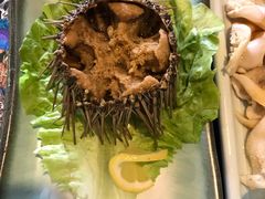 海胆-威海渔村(静安旗舰店)