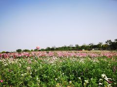 -歌斐颂巧克力小镇