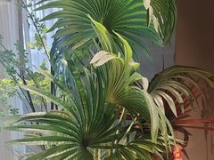 -蘸小院铁锅炖·蘸酱菜·东北菜(怀远门店)