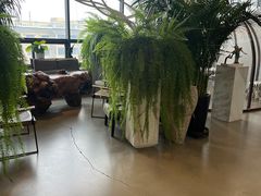 -哈尔滨圣安口腔专科医院