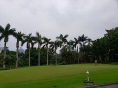 -棕榈泉国际高尔夫学院