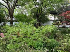 -上海醉白池公园