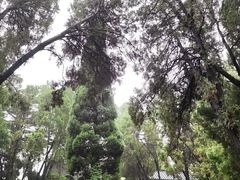 -蓬莱阁景区