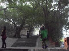 景点-胡里山炮台