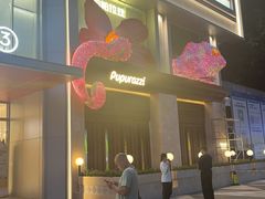 -帕帕拉兹宠物(亚洲旗舰店)