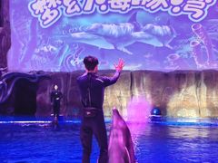 -华夏文旅海洋公园