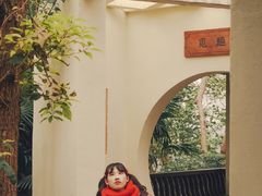 -重庆彩云湖湿地公园