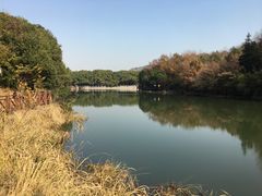 -白马涧龙池景区