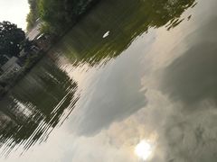 -太子山公园(园东路)
