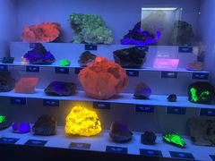 -湖南省地质博物馆