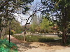 -八大关景区
