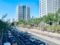 -黑龙江中医药大学附属第一医院