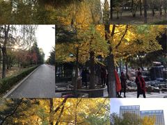 -辽宁大学(崇山校区)