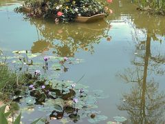 -人民公园(罗湖区)