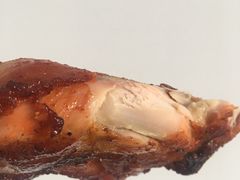 奥尔良鸡腿-赵天禄(葑门横街店)