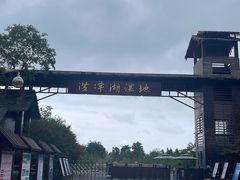 -泗洪洪泽湖湿地景区