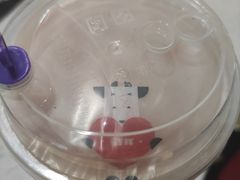 -张小姐炒酸奶