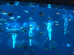-瑞德姆美人鱼海底演艺主题餐厅(亚龙湾店)