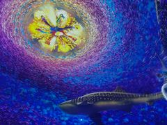 -海合安武汉极地海洋公园