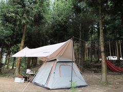 -重庆睡佛山森林公园