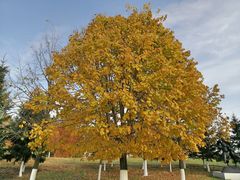 -长春世界雕塑园冰雪艺术天地