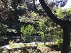 -红螺寺