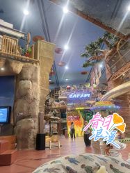 -卡通尼·Safari非洲探索乐园·生日会(金桥国际商业广场店)