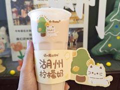 -猫的魔法密林(衣裳街店)