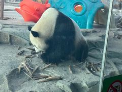 -武汉动物园