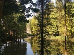 -云溪植物园