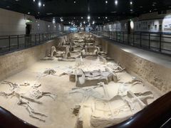 -洛阳周王城天子驾六博物馆