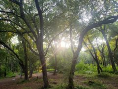 -长春市南湖公园