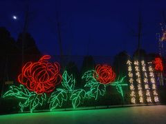 -青龙湖公园
