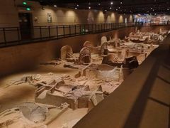 -洛阳周王城天子驾六博物馆