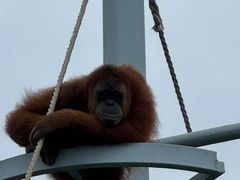 -西霞口神雕山野生动物世界