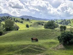 -新疆那拉提国家旅游度假区