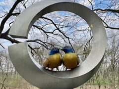 -婺源月亮湾