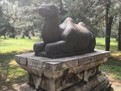 -沈阳市东陵公园