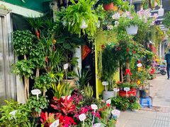 -溪岸路花鸟市场