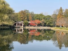 -上海共青森林公园