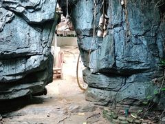 -西双版纳原始森林公园