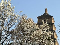 -大慈恩寺(大雁塔)