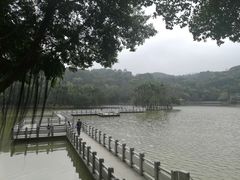 景点-西樵山风景名胜区-天湖公园