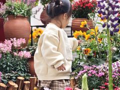 -云溪植物园